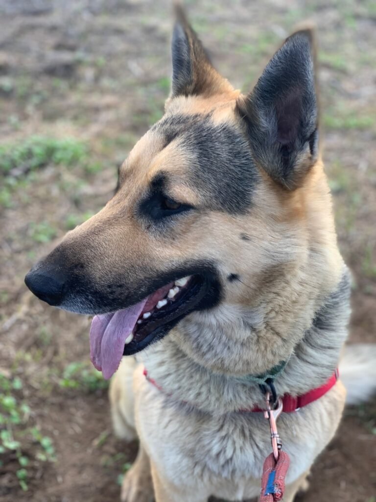 b138afc9 0059 4394 8e91 80efa716f248