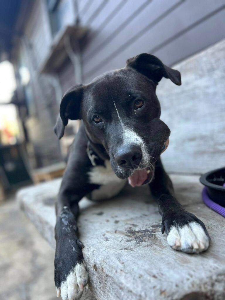 e5952f83 eb82 43fb 9407 c866a7b90e00