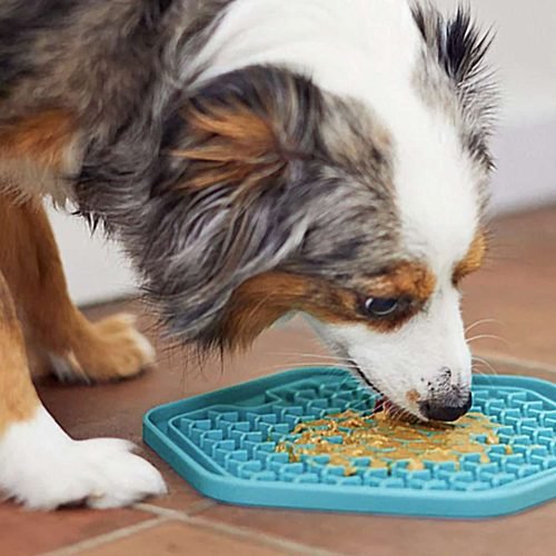 dog-lick-mat-2000-4504cfb1dd4d4e79965f33ac0c69284b dog-lick-mat-2000-4504cfb1dd4d4e79965f33ac0c69284b